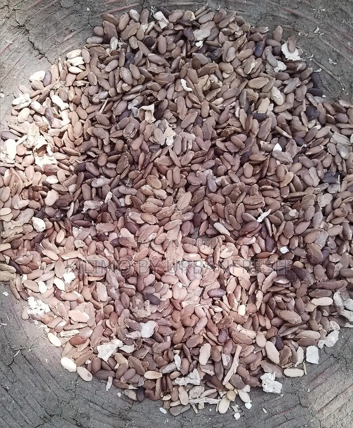 Galdus Layers Broilers Chicks (Starter Pellets) (25kgs)