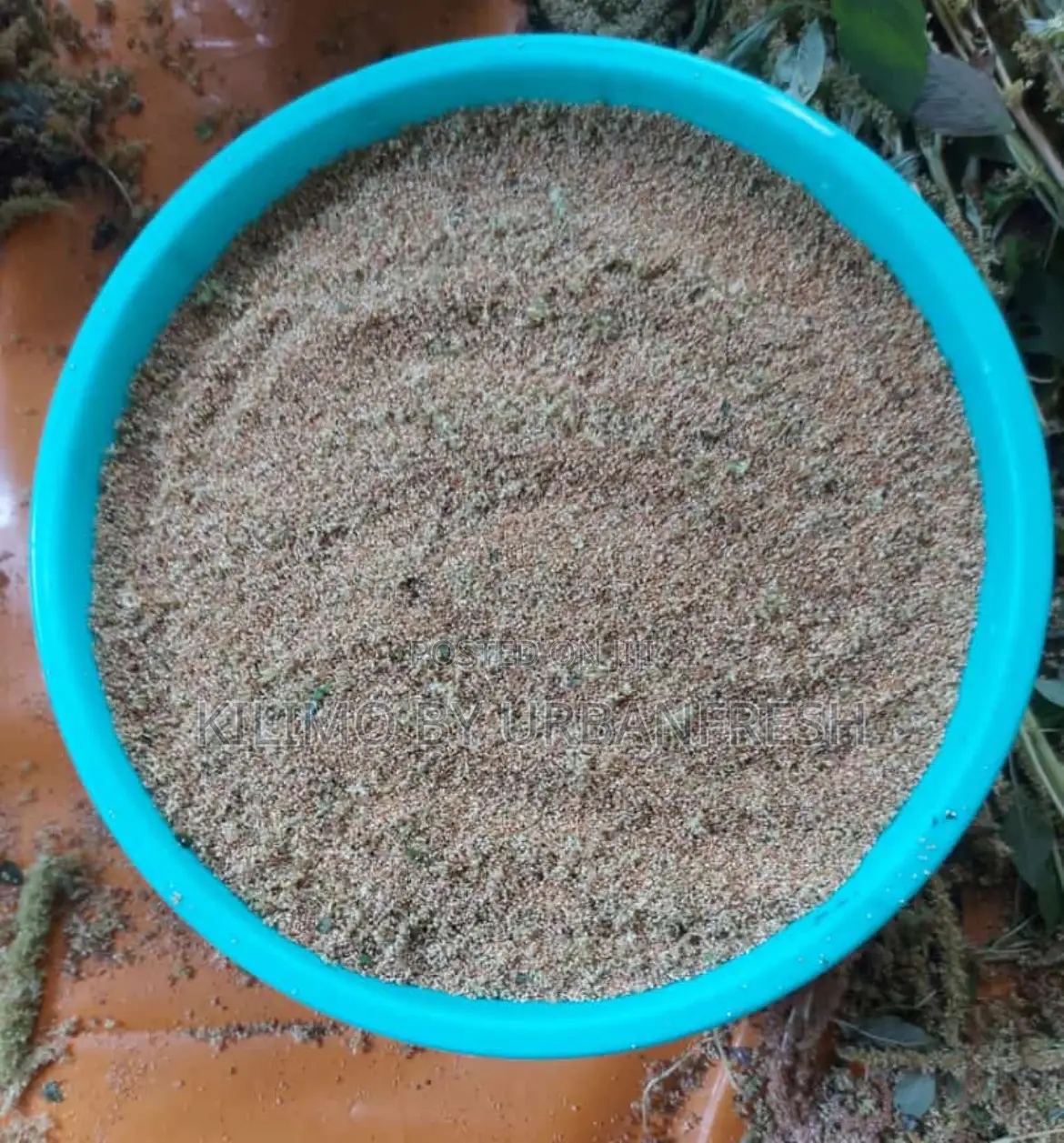Amaranth Seeds Cream / Yellow
