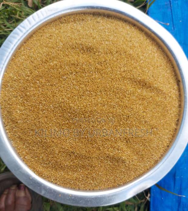 Amaranth Seeds Cream / Yellow - main view