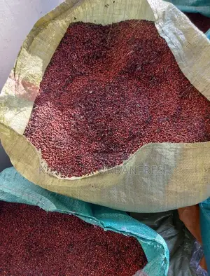 Red Sorghum Seeds 1 Kg