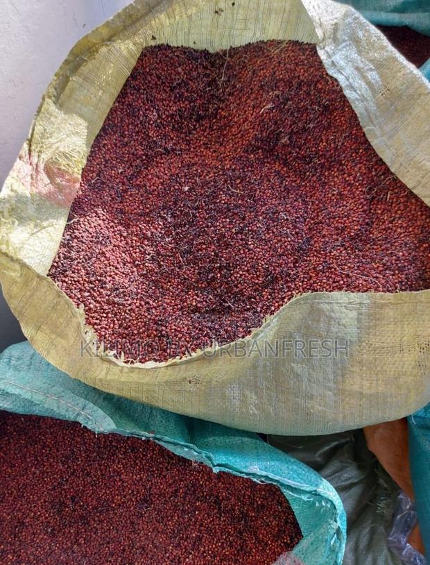 Red Sorghum Seeds 1 Kg