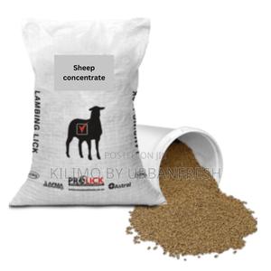 Sheep Concentrate (50kgs) - thumbnail 2