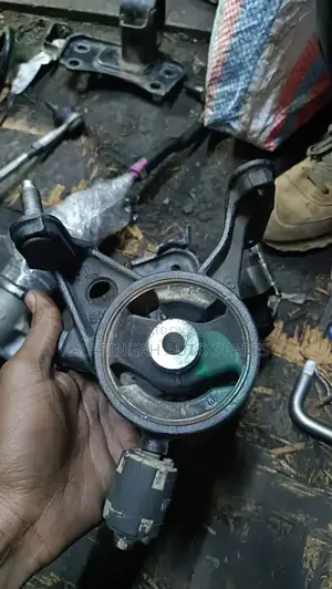 Rav4/Vanguard Gear Mounting
