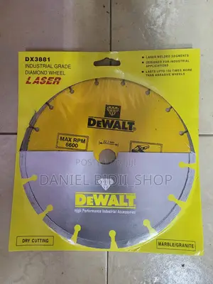 9 Inch Dewalt Diamond Disk