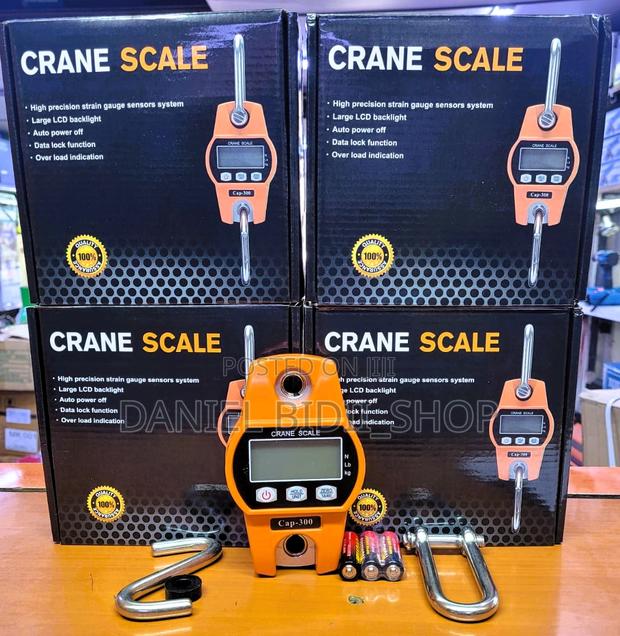 300kg Crane Scale - main view