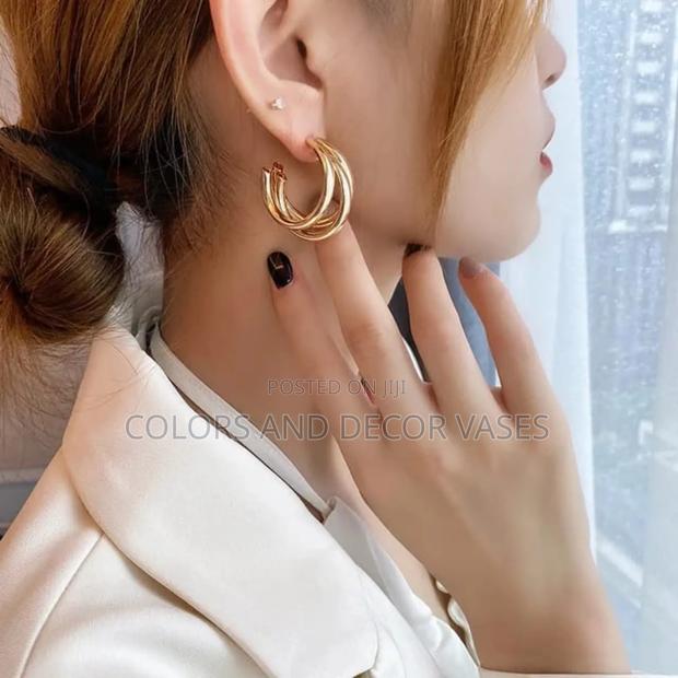 Fashionable Earrings - main view