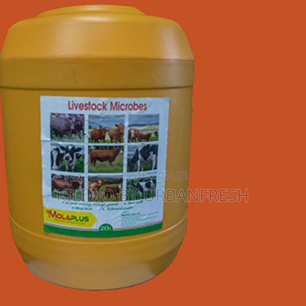 Super Microbes Molaplus (10 Ltrs) - main view