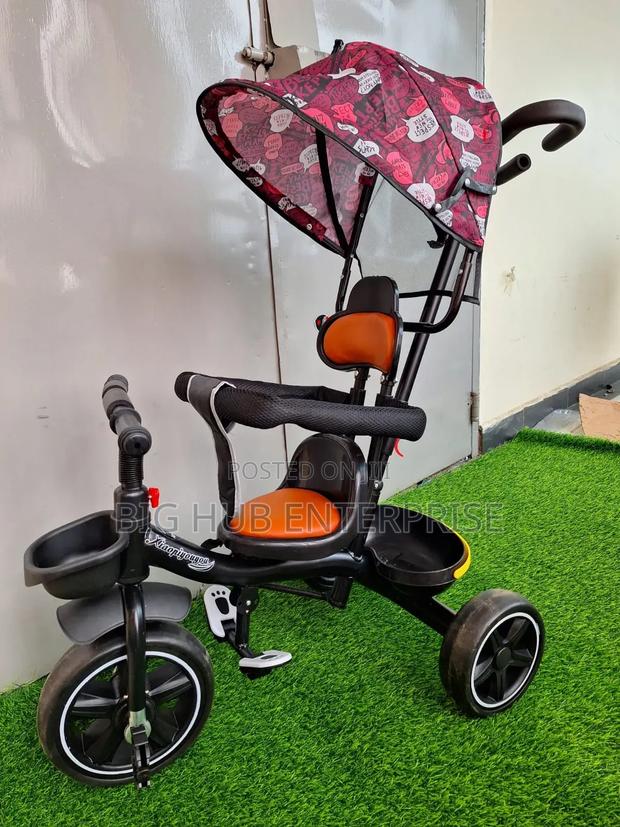 Tricycle With Canopy Push Able Handle Protective Side Bars - main view