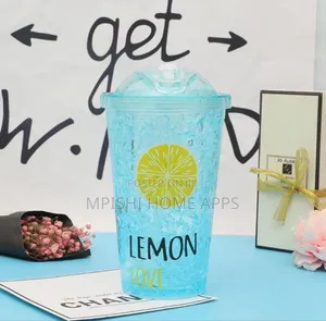 Double Wall Frost Ice Smoothie Cup