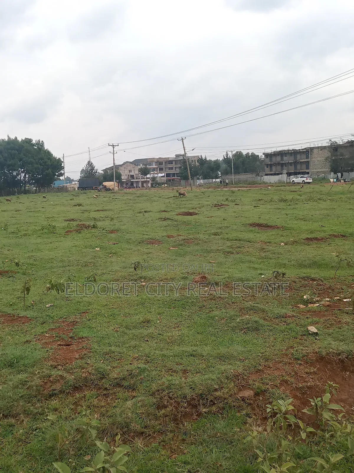1/4 Plot Annex Ideal for Commercial Purpose