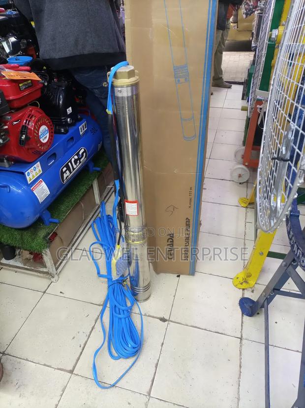 Submassible Pump - main view