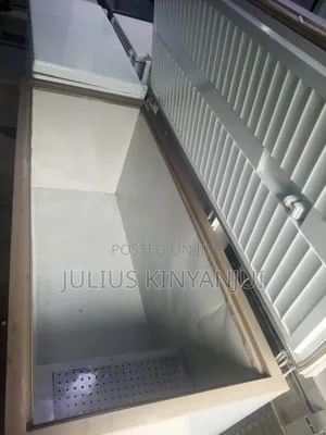 600L Deep Freezer