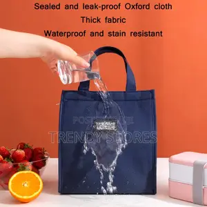 Bento Fashion Insulated Lunch Bag