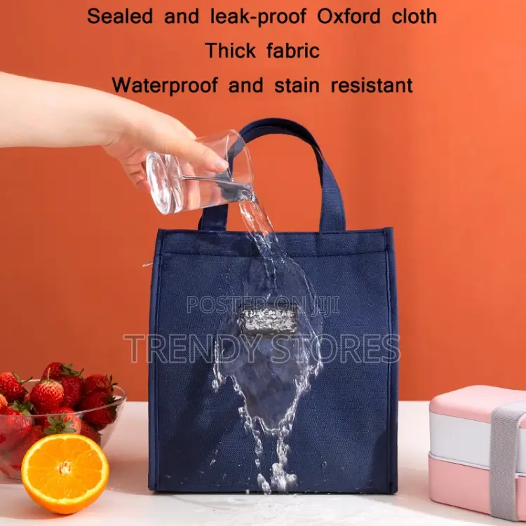 Bento Fashion Insulated Lunch Bag