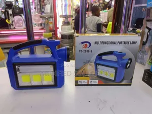 Multifunction Portable Lamp
