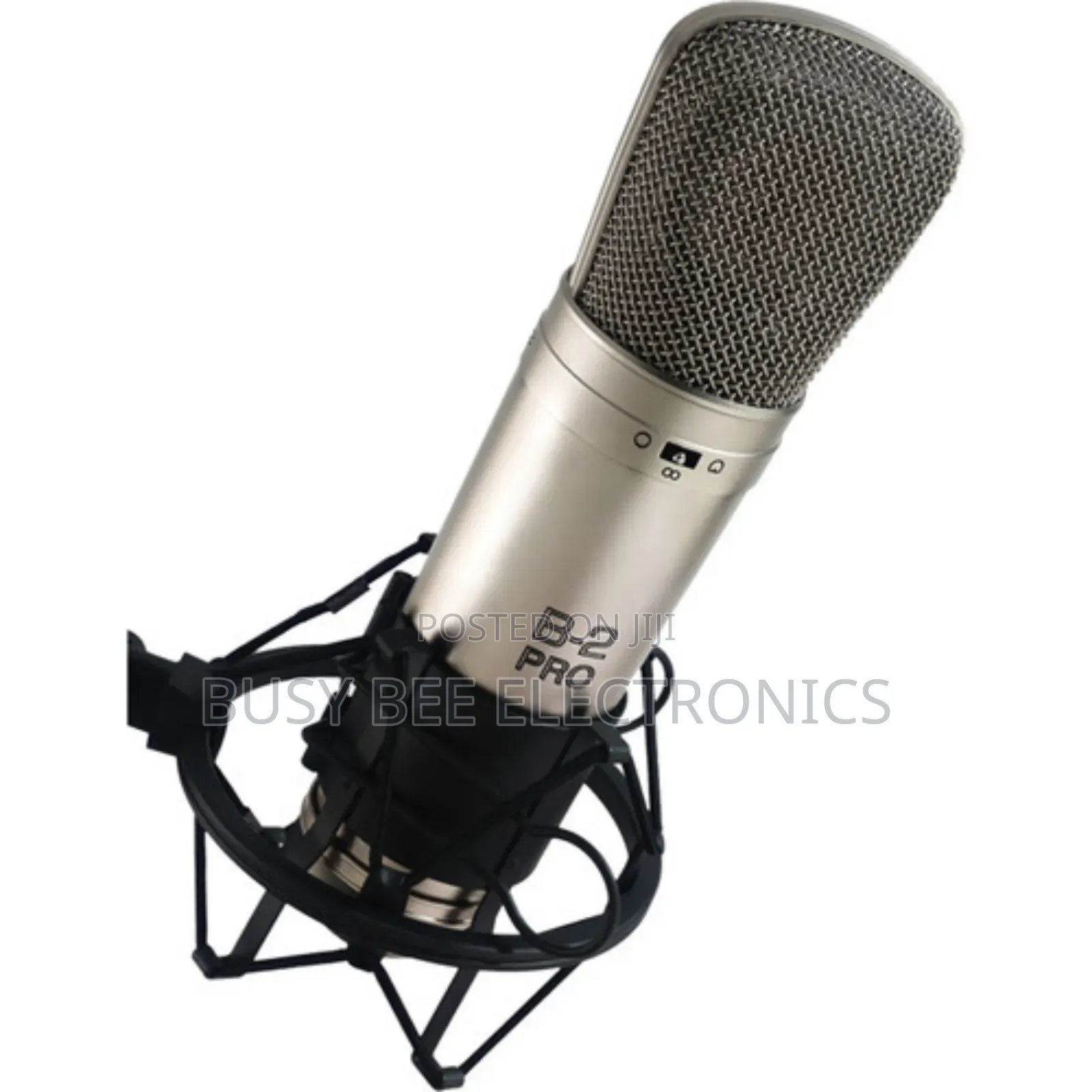 B-2 Pro Large Diaphragm Multi-Pattern Studio Microphone