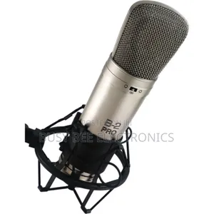 B-2 Pro Large Diaphragm Multi-Pattern Studio Microphone