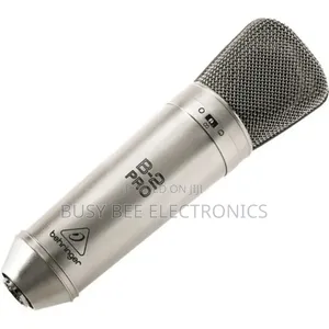 B-2 Pro Large Diaphragm Multi-Pattern Studio Microphone