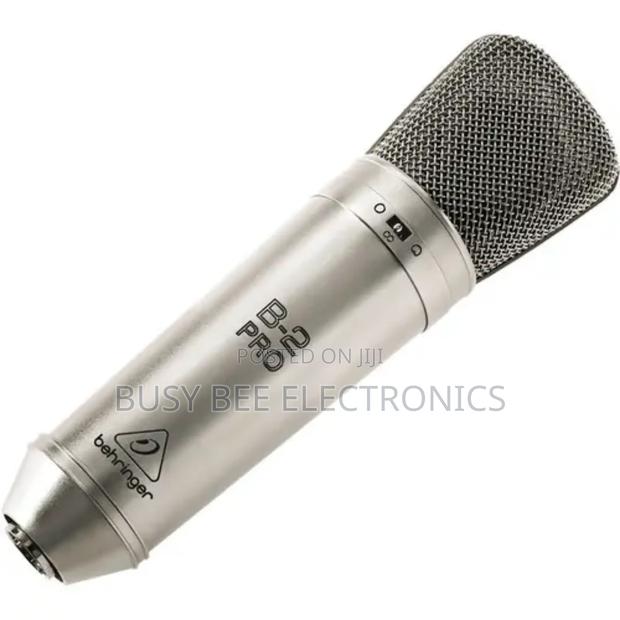 B-2 Pro Large Diaphragm Multi-Pattern Studio Microphone - thumbnail 3