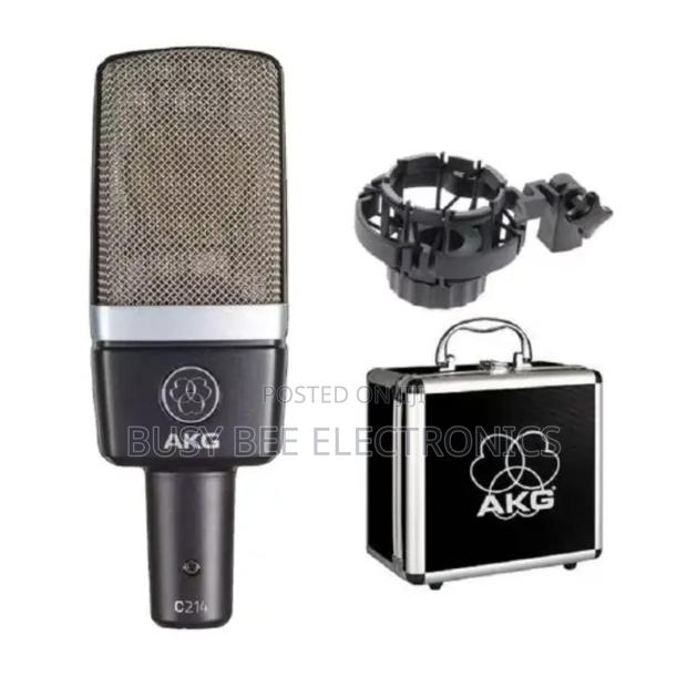 Akg Condensor Microphone - main view