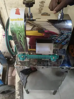 Commercial Electric Sugarcane Juicer