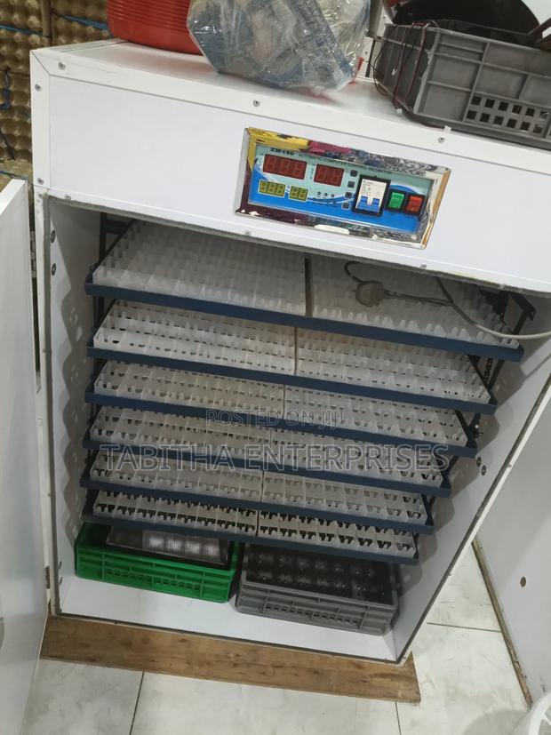 Automatic Egg Incubator 1056eggs /