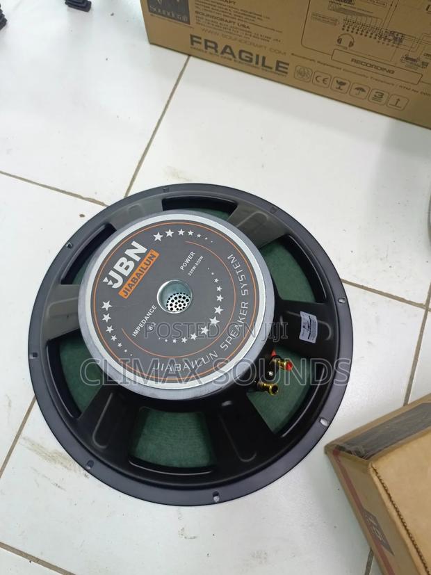 JBN Naked Speaker 550w