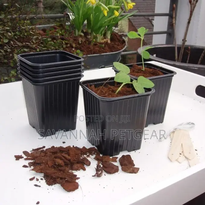 Plastic Reusable Propagation Flower Pots 300ml, Pack of 10