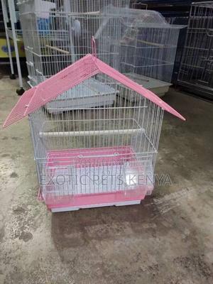 Bird Cages - main view