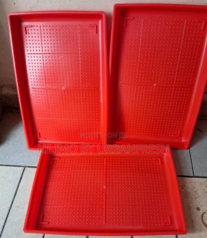 Red Rectangular Feeding Trays for Poultry - thumbnail 2