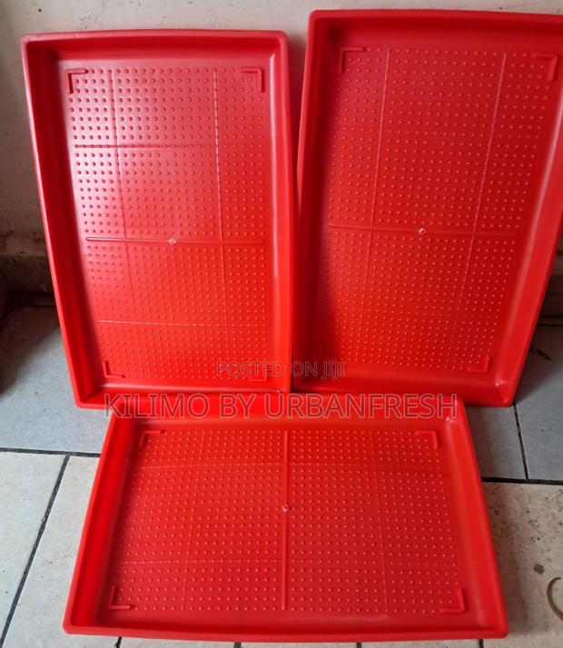 Red Rectangular Feeding Trays for Poultry - main view