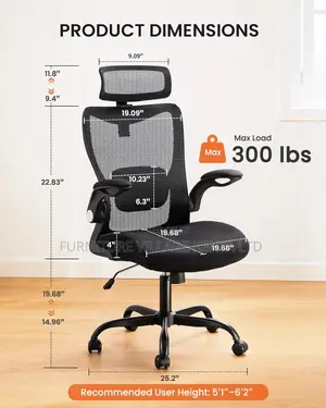 Ergonomic Desk Chair, Home Office Desk Chai