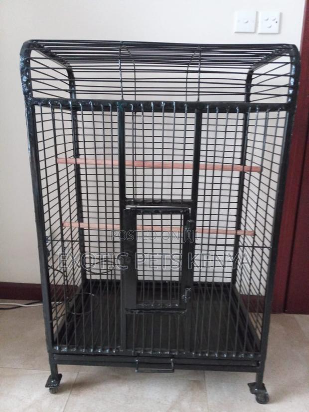 Cockatiel Cage - main view