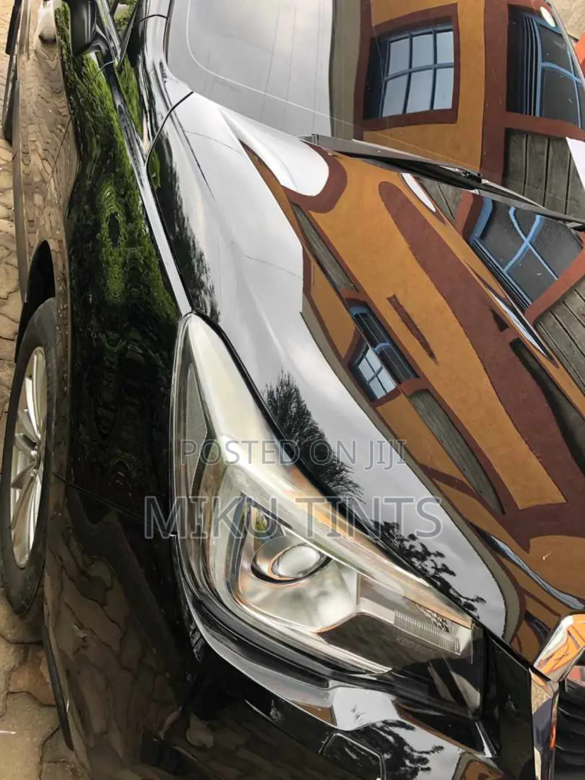 Paint Protection Film
