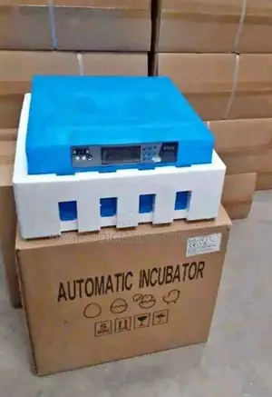 64 Durable Egg Incubator