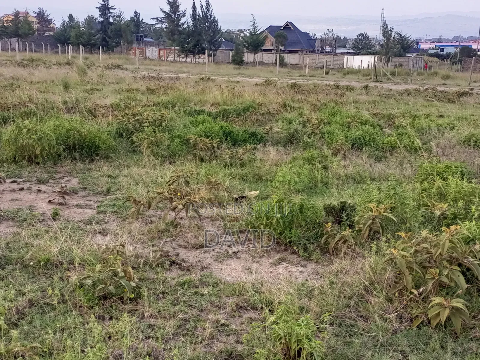 Plot for Sale in Pipeline Near Ack