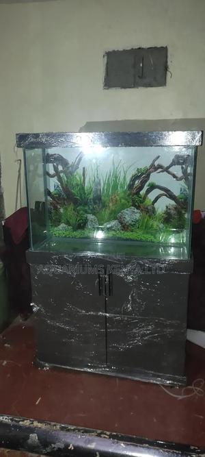 Aquarium - Aquarium With Stand - thumbnail 2