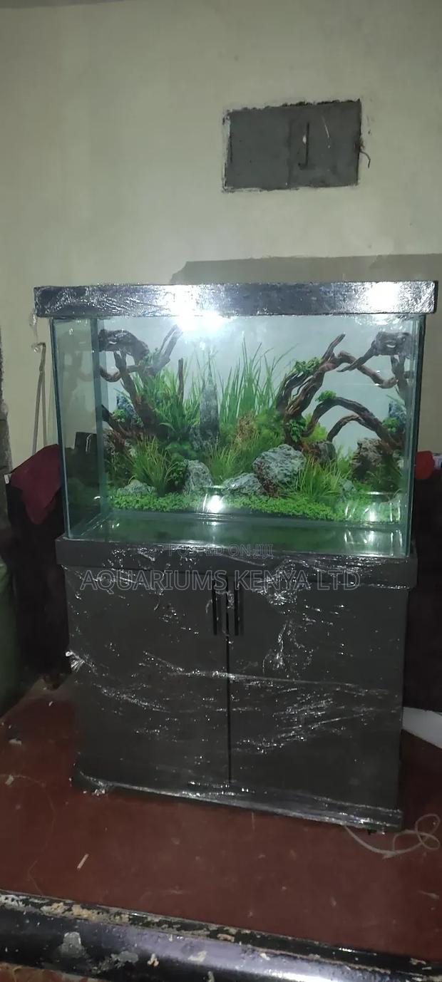 Aquarium - Aquarium With Stand - main view