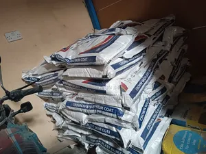 Crown Wallplast Filler(25kg)
