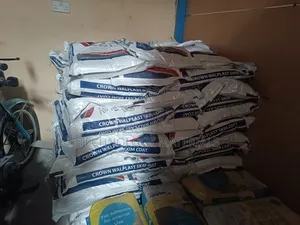 Crown Wallplast Filler(25kg)