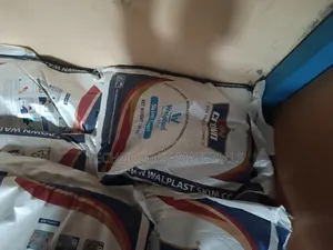 Crown Wallplast Filler(25kg)