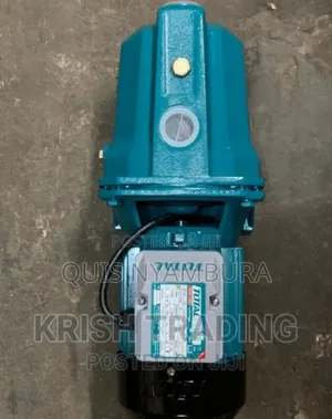 Jet Pump 1hp 750w /Electric Water Pump 55m