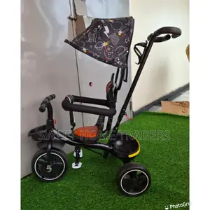 Tricycle With a Push Handle and a Canopy