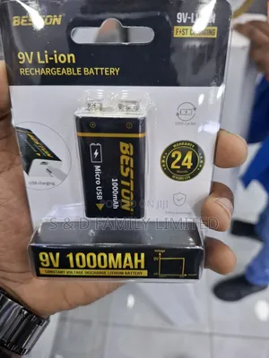 Beston 9v Rechargeable Battery With USB Charger