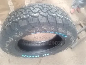 225/65r17 Blackbear All Terrain