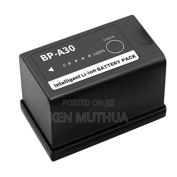 Canon BP-A30 Batteries (With Level Meters)