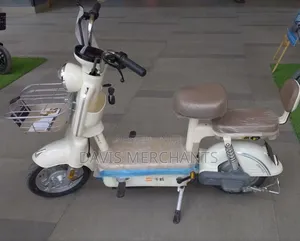 Electric Scooter Bike