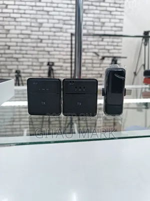 Sx31 Dual Wireless Mics