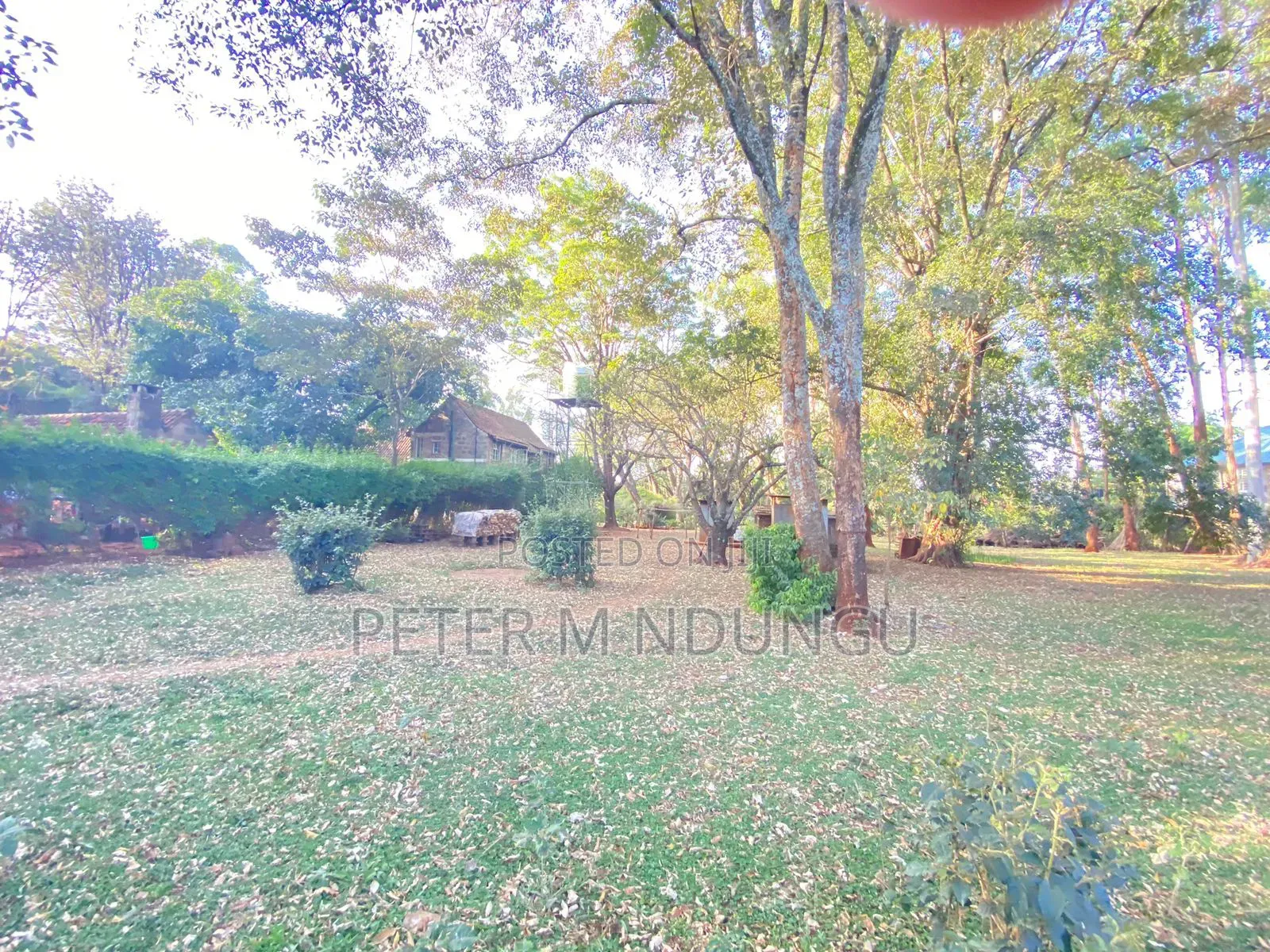 Prime Land 2.5 Acres, Ridgeways