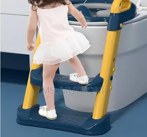 Baby Toilet Seat With Ladder Infant, Training Folding Seat